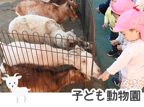 子ども動物園