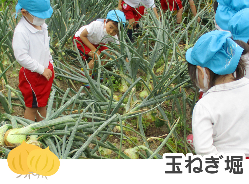 玉ねぎ堀