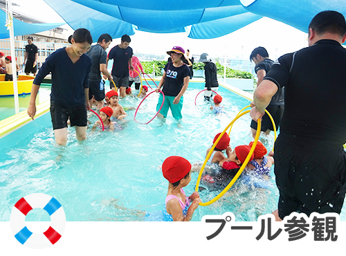 プール参観